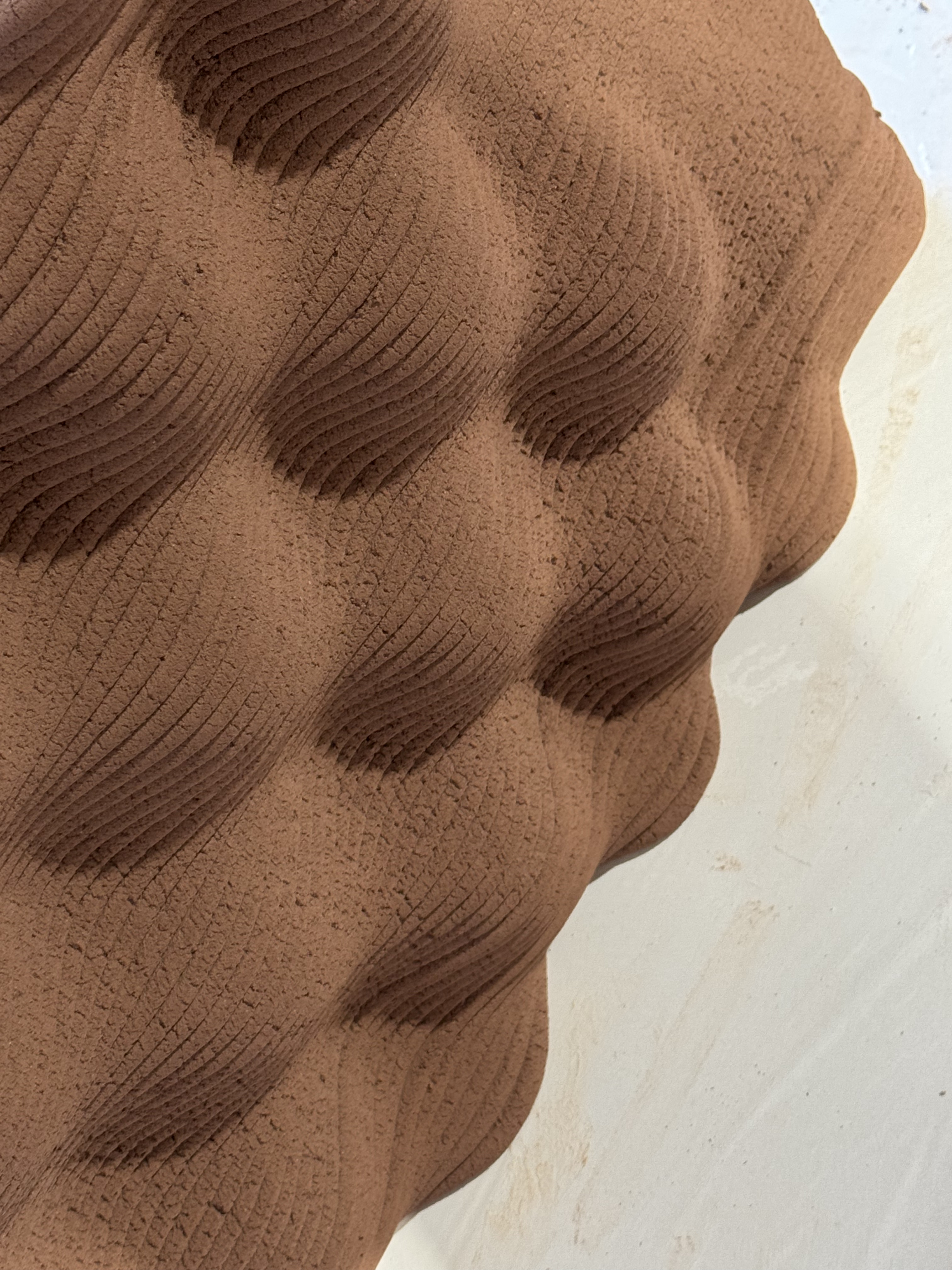 3D Printing Biomaterial