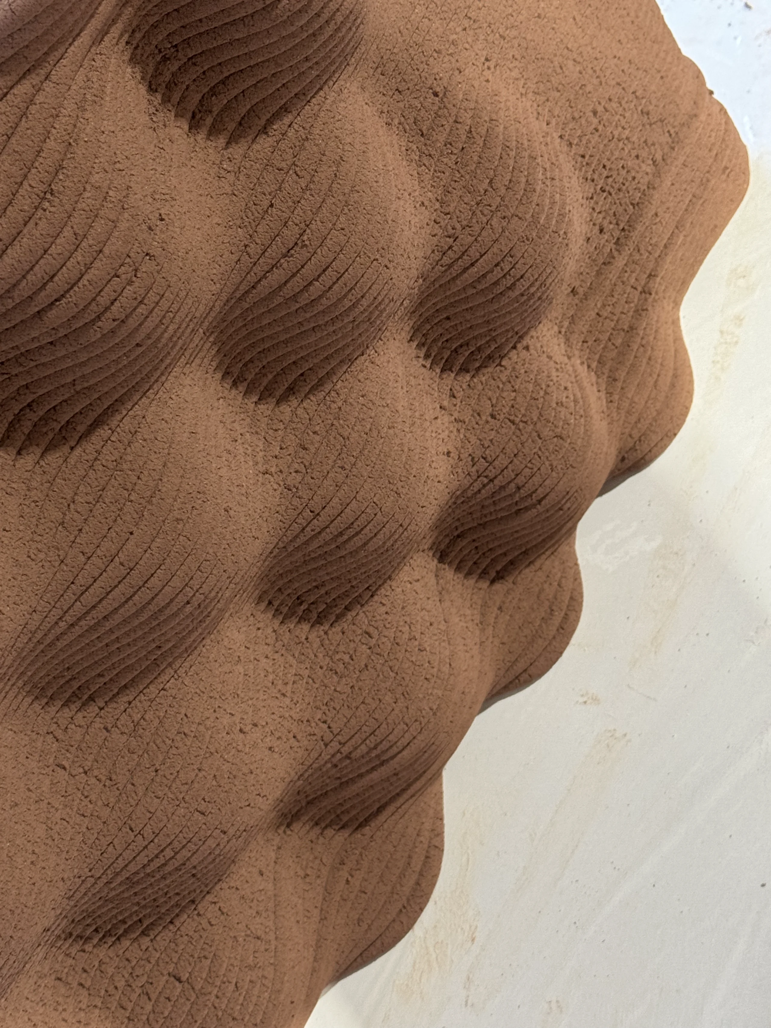 3D Printing Biomaterial